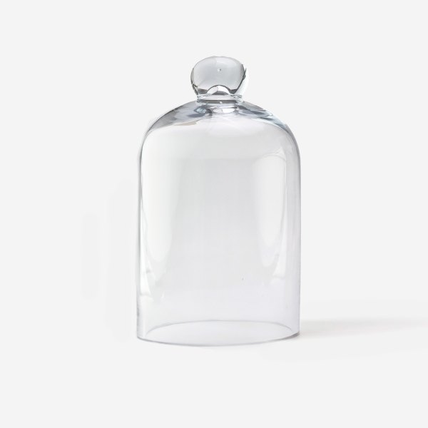 Glass Cloche