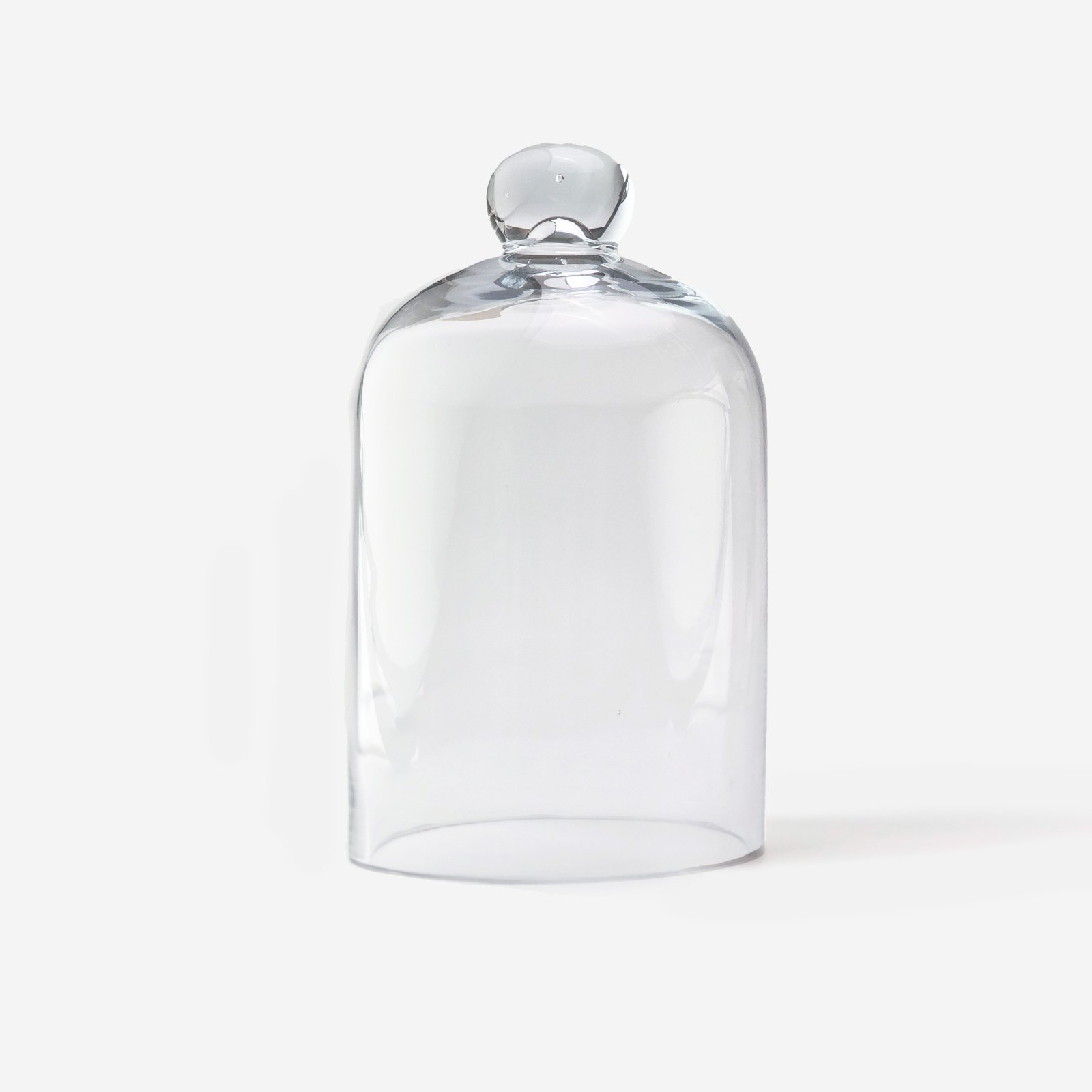 Glass Cloche — Primary